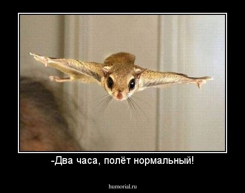 -Два часа, полёт нормальный!