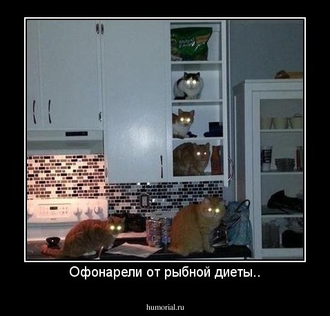 Офонарели от рыбной диеты..