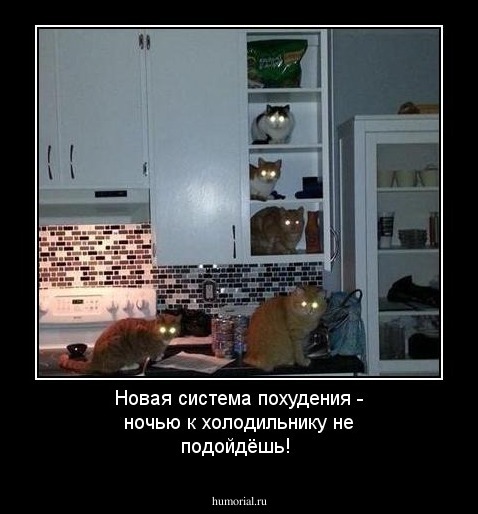 Новая система похудения - ночью к холодильнику не подойдёшь!