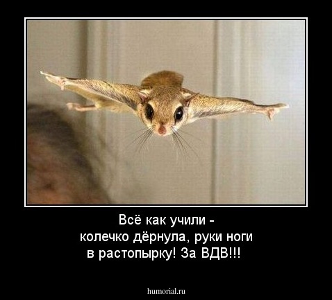 Всё как учили - колечко дёрнула, руки ноги в растопырку! За ВДВ!!!