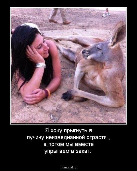 Я хочу прыгнуть в пучину неизведнанной страсти , а потом мы вместе упрыгаем в закат.