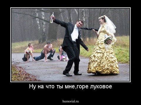 Ну на что ты мне,горе луковое