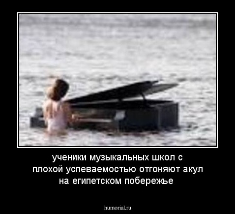 ученики музыкальных школ с плохой успеваемостью отгоняют акул на египетском побережье