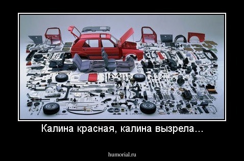Калина красная, калина вызрела...