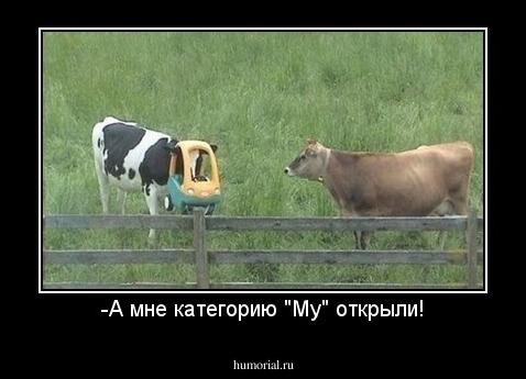 -А мне категорию "Му" открыли!