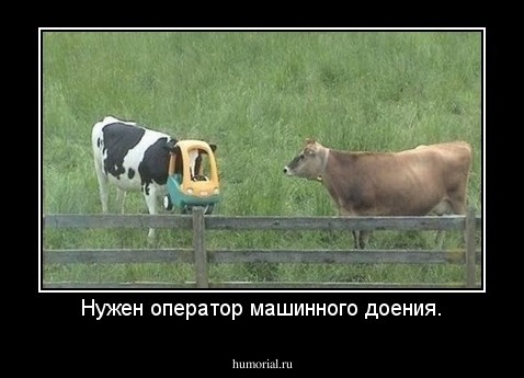 Нужен оператор машинного доения.