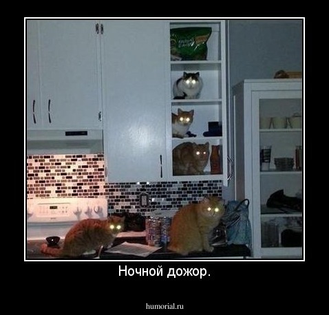Ночной дожор.