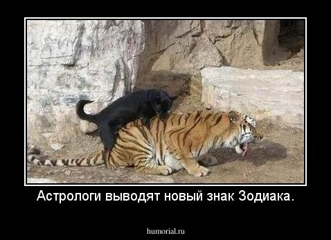 Астрологи выводят новый знак Зодиака.