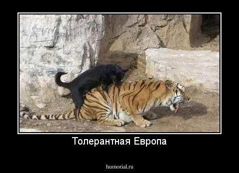 Толерантная Европа