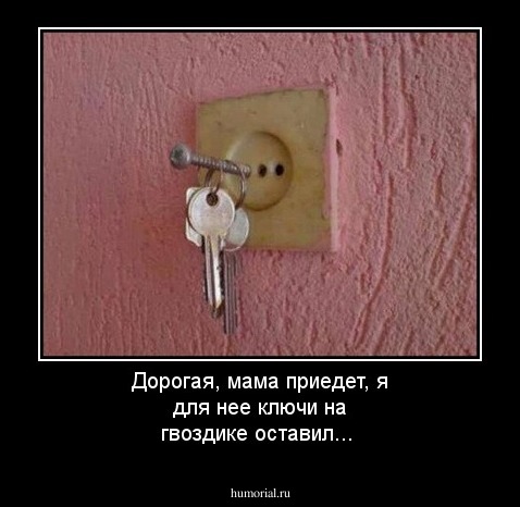 Дорогая, мама приедет, я для нее ключи на гвоздике оставил...