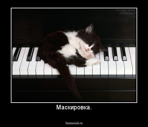 Маскировка.
