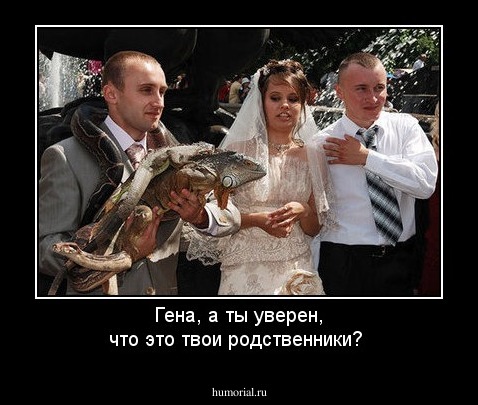 Гена, а ты уверен, что это твои родственники? 