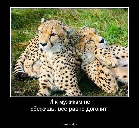 И к мужикам не сбежишь, всё равно догонит