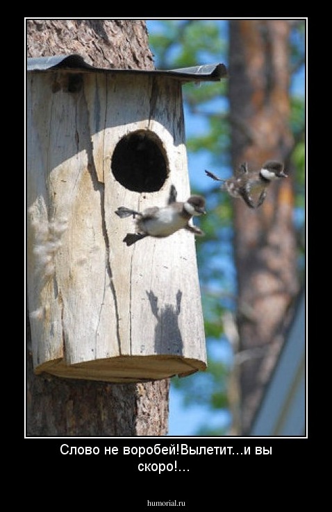 Слово не воробей!Вылетит...и вы скоро!...