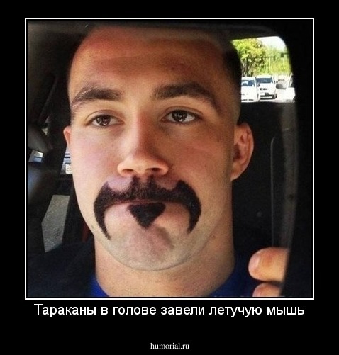Тараканы в голове завели летучую мышь