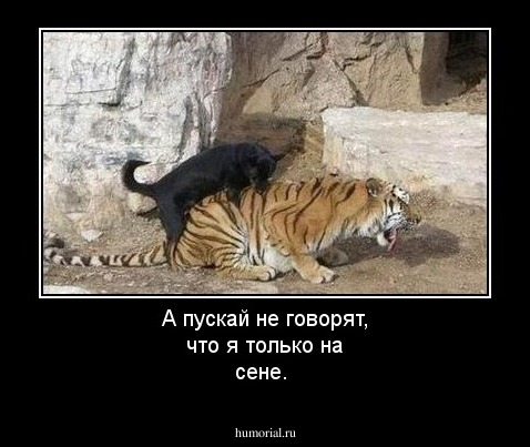 А пускай не говорят, что я только на сене.