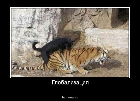 Глобализация