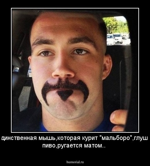 Единственная мышь,которая курит "мальборо",глушит пиво,ругается матом..
