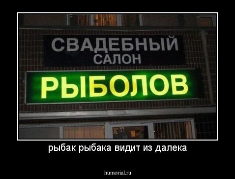 рыбак рыбака видит из далека
