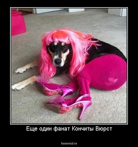 Еще один фанат Кончиты Вюрст