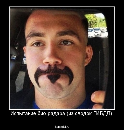 Испытание био-радара (из сводок ГИБДД).