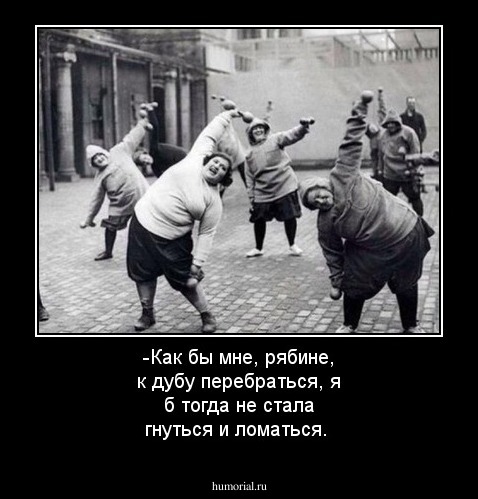 -Как бы мне, рябине, к дубу перебраться, я б тогда не стала гнуться и ломаться.