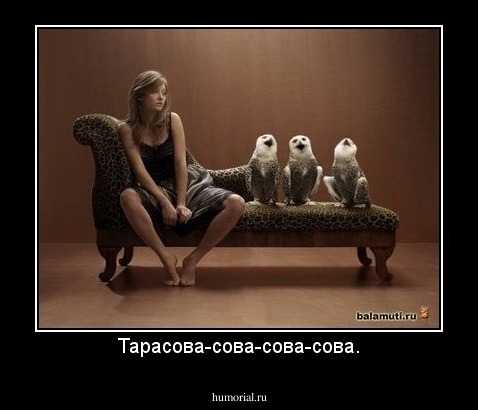 Тарасова-сова-сова-сова.