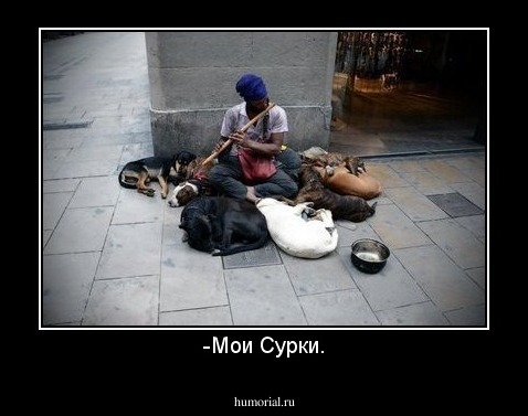 -Мои Сурки.