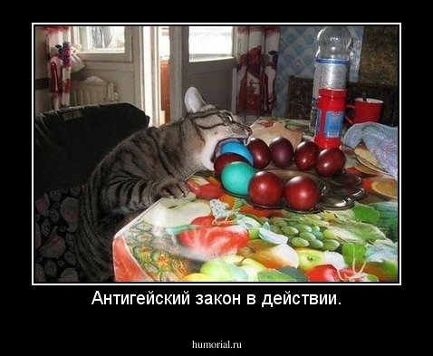 Антигейский закон в действии.