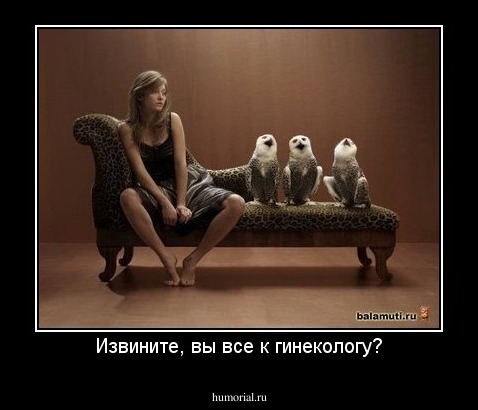Извините, вы все к гинекологу?