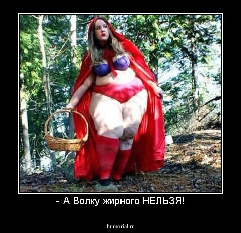 - А Волку жирного НЕЛЬЗЯ!