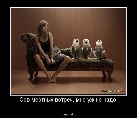 Сов местных встреч, мне уж не надо!