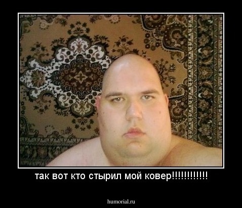 так вот кто стырил мой ковер!!!!!!!!!!!!