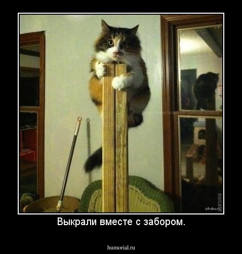 Выкрали вместе с забором.