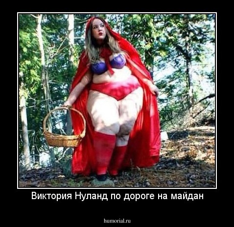 Виктория Нуланд по дороге на майдан