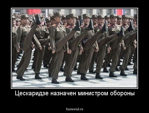 Цескаридзе назначен министром обороны