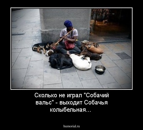 Сколько не играл "Собачий вальс" - выходит Собачья колыбельная...