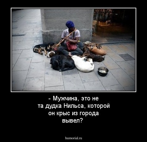 - Мужчина, это не та дудка Нильса, которой он крыс из города вывел?
