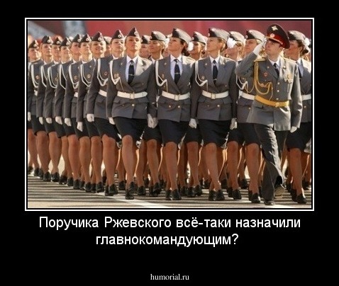 Поручика Ржевского всё-таки назначили главнокомандующим?
