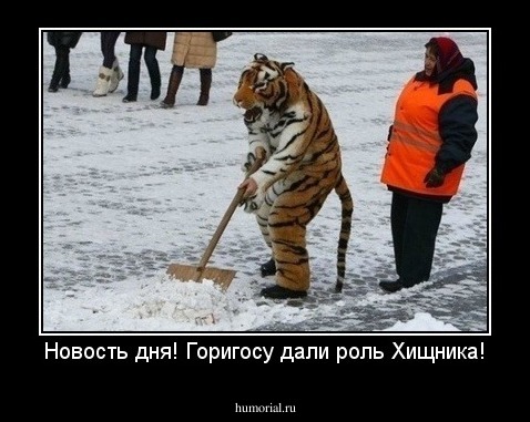 Новость дня! Горигосу дали роль Хищника!