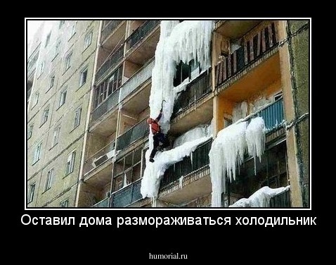 Оставил дома размораживаться холодильник