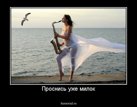 Проснись уже милок