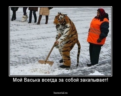 Мой Васька всегда за собой закапывает!