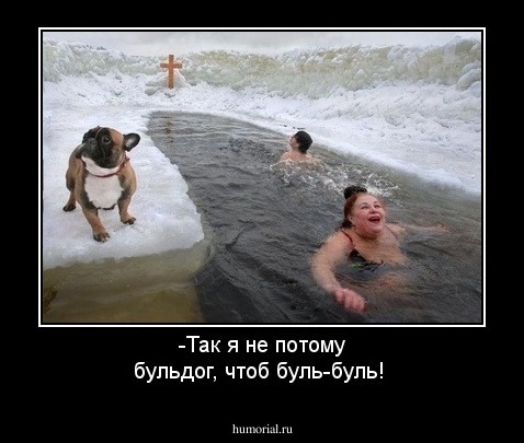 -Так я не потому бульдог, чтоб буль-буль!