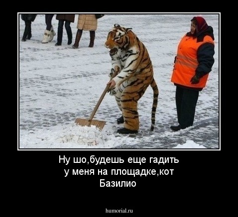 Ну шо,будешь еще гадить у меня на площадке,кот Базилио