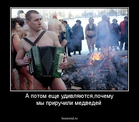А потом еще удивляются,почему мы приручили медведей