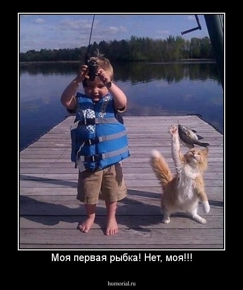 Моя первая рыбка! Нет, моя!!!