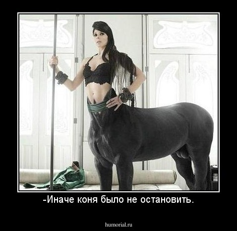 -Иначе коня было не остановить.