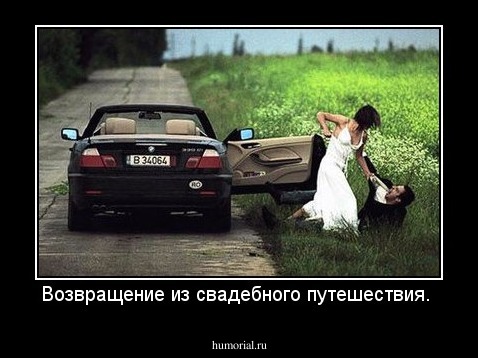 Возвращение из свадебного путешествия. 