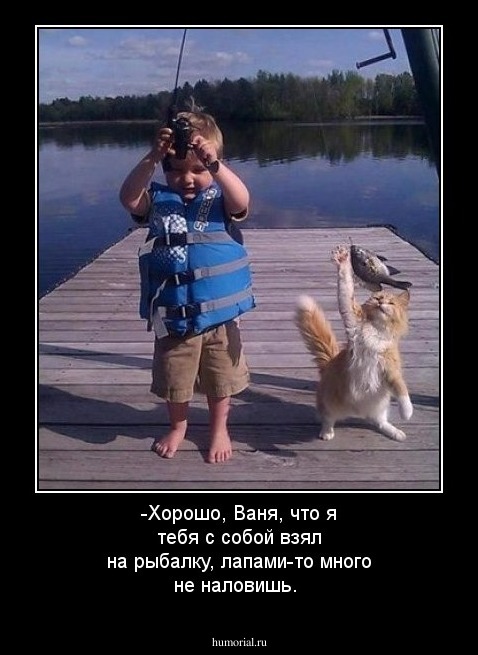 -Хорошо, Ваня, что я тебя с собой взял на рыбалку, лапами-то  много не наловишь.